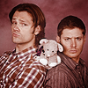 Jensen Ackles and Jared Padalecki