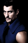 David Gandy