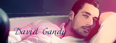 David Gandy